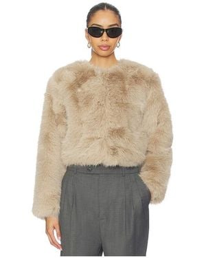 Blank NYC Crop Faux Fur Coat - Natural