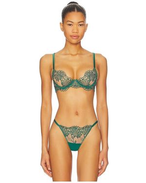 Bluebella Amaris Wired Bra - Orange