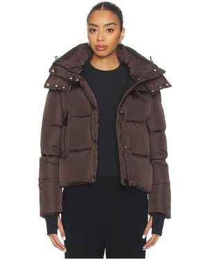 Sam. Chaqueta Jordy En Color Marrón Talla (También En M, S, Xs)