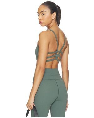 Vuori Yosemite Bra - Blue