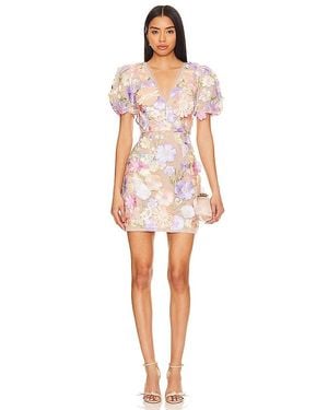 Elliatt Anthea Dress - Multicolor