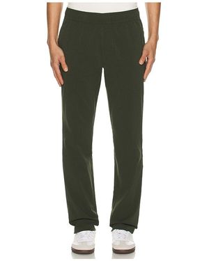 Tommy John Hose - Grün