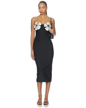 PATBO Midnight Bloom Lycra Midi Dress - Black