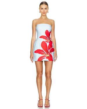 Runaway the Label Primrose Mini Dress - Red