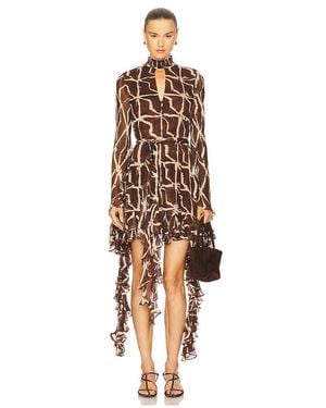 Alexis Amalia Dress - Brown