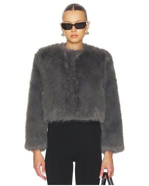 MISA Los Angles Jordyn Cropped Faux Fur Jacket - Gray