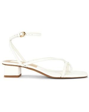 Dolce Vita Karlos Heel - White