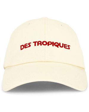 Araminta James Kappe Tropiques - Natur