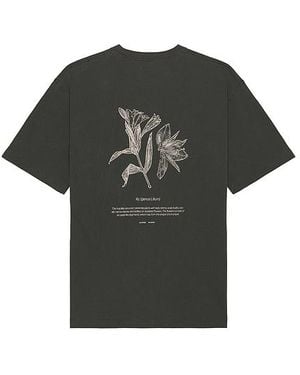 Samsøe & Samsøe Salilium T-Shirt - Black