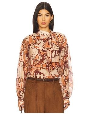 Steve Madden Sutton Top - Orange