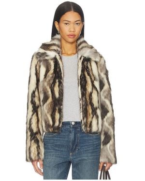 Adrienne Landau Emory Jacket - Blue
