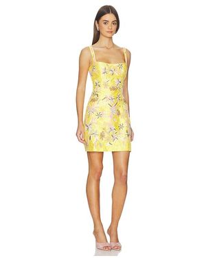 knee length dresses for ladies Palm Springs Oasis Mini Dress Pink main image 1