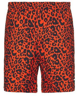 Pleasures Sport-Shorts Leopard - Rot