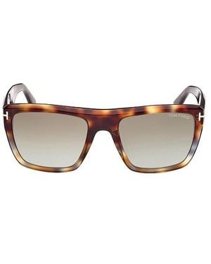 Tom Ford Sonnenbrille Alberto - Braun