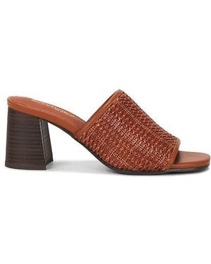 Seychelles Adapt 3 Sandal - Brown