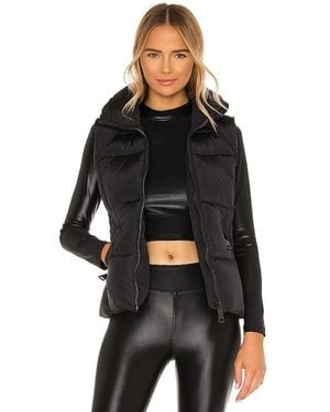 Sam. Freedom Vest - Black