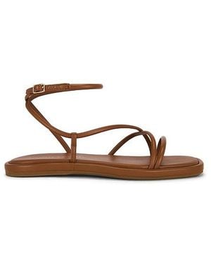 Loeffler Randall Noor Strappy Ankle Wrap Flat Sandal - Multicolour