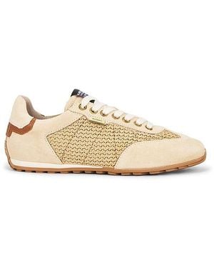 AllSaints Liam Low Top Trainer - White