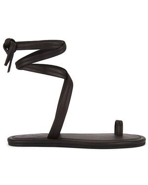 St. Agni Tie Up Sandal - Black