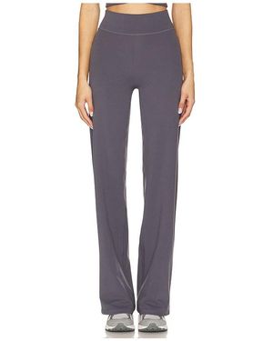 437 The Essentials Pant - Blue