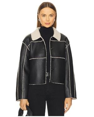 Steve Madden Tilia Coat - Black