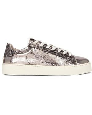 AllSaints Sneakers Shana - Mehrfarbig