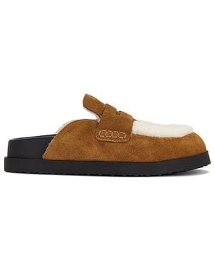 Steve Madden Tomlin Clog - Brown