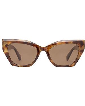 Aire Gafas De Sol Persei En Color Marrón Talla