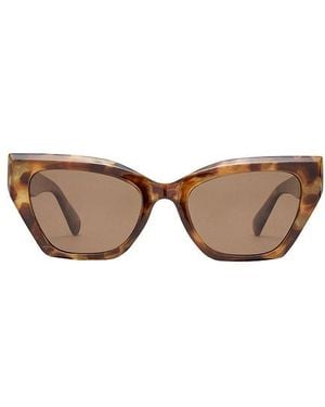 Aire Sonnenbrille Persei - Braun