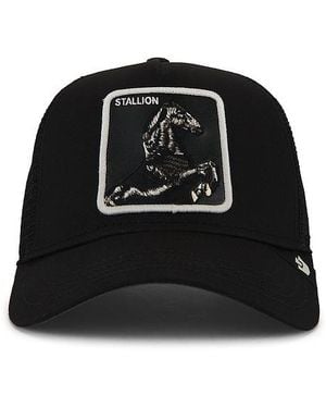 Goorin Bros Stallion Trucker Hat - Black