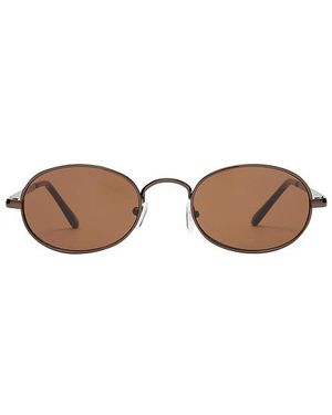 Aire Gafas De Sol Regulus En Color Marrón Talla