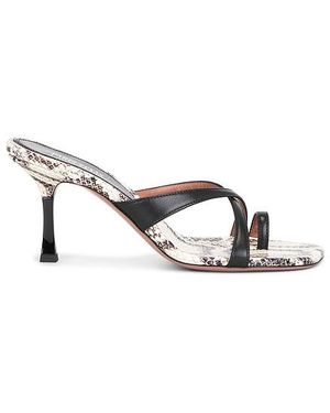 Paris Texas Lorena Thong Mule 75 - Multicolour