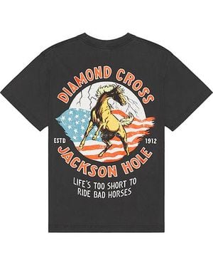 Diamond Cross Ranch American Horse - Black