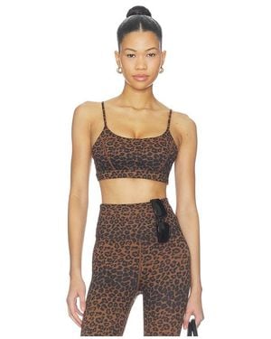 Beach Riot Sara Sports Bra - Multicolor