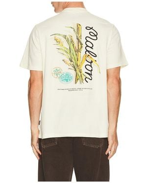 Malbon Shirt - Natur