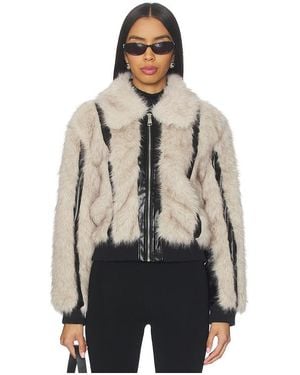 Steve Madden Charmaine Jacket - Blue