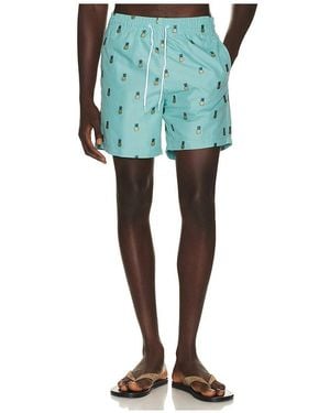 Trunks Surf & Swim Sano 6.5 Swim Short - Green