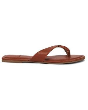Dolce Vita Lenex Thong Sandal - Brown