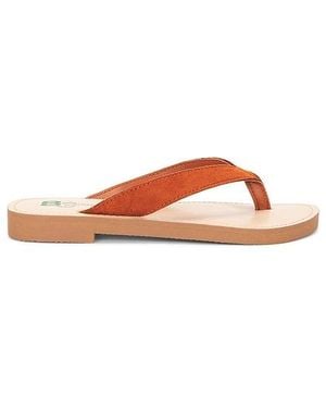 Seychelles Sandale Deliah - Mehrfarbig