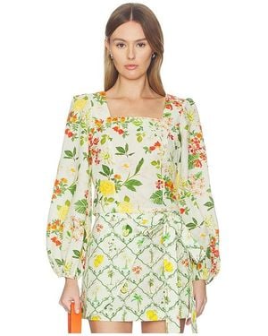 VERANDAH Square Neck Crop Blouse En Color Mint, Talla (También En S, Xs, M, Xl) - Amarillo