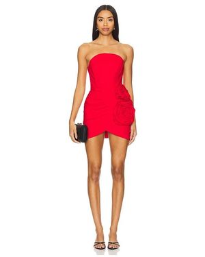 Arie mini dress nbd 2025