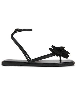 Free People Mismatch Magnolia Sandal - Black