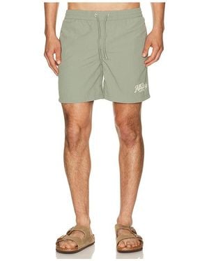 AllSaints Odyssey Swimshort - Green