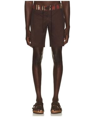 Rhythm Propagate Trunk - Brown