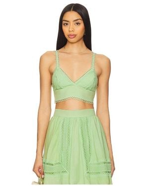 Peixoto Jasmine Crop Top - Green