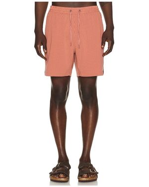 Marine Layer 6 Lined Sport & Swim Short - Red