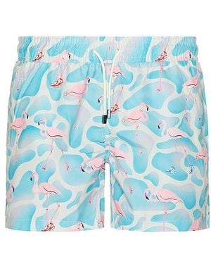 Nikben Flamingo Swim Trunks - ブルー