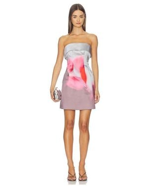 AMUR Zelie Mini Dress - Red