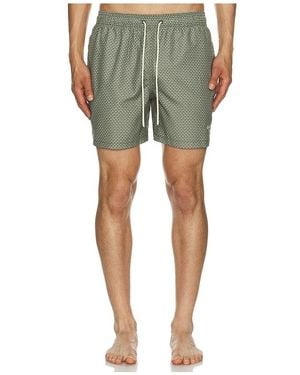 Barbour Shell Swim Short - Green