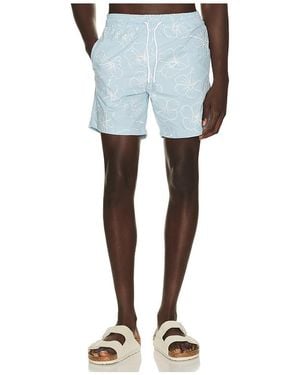 Trunks Surf & Swim Sano 6.5 Swim Short - Blue